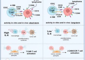 New strategy for safer CAR T cell therapy in lymphomas