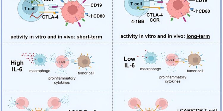 New strategy for safer CAR T cell therapy in lymphomas