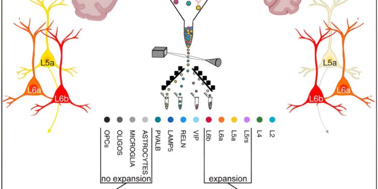 New technique for revealing genetic repeats provides surprising insights into Huntington’s disease