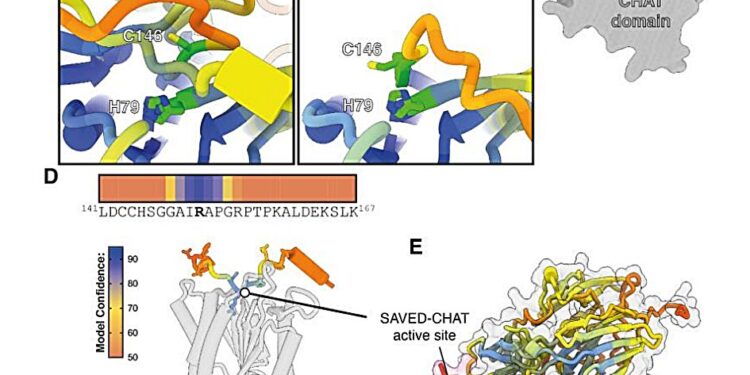 Newly Discovered Bacterial Defense System Works Like a Self-Destruct Button