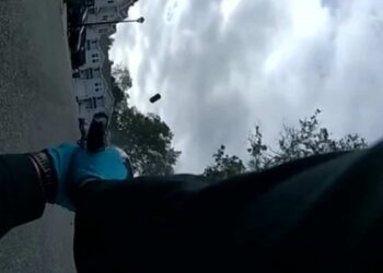 ON VIDEO |  An acorn falls on his car, an American police officer opens fire