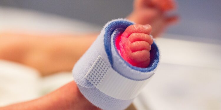 Premature births linked to ‘hormone-disrupting’ chemicals could cost US billions