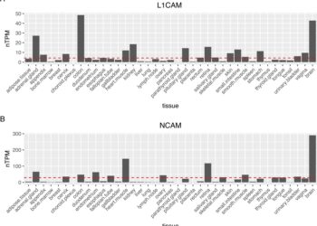 Progress toward developing blood tests for psychiatric and neurological disorders