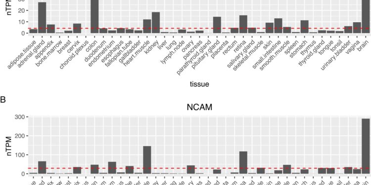 Progress toward developing blood tests for psychiatric and neurological disorders