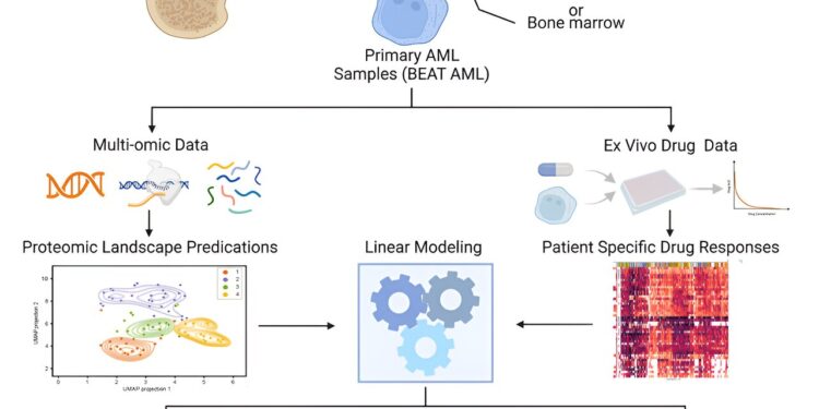 Proteins suggest a pathway to reduce drug resistance in a form of cancer