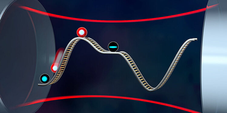 Quantum dark states lead to noise reduction benefit