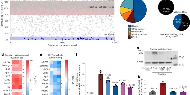Repairing unwanted brain cells could be key to preventing neurodegeneration