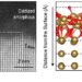 Research offers direct insight into tantalum oxidation hindering qubit coherence