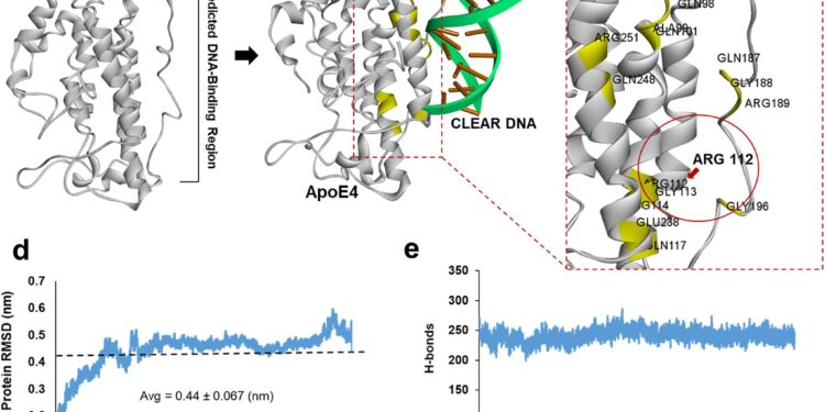 Research team discovers potential drug for Alzheimer’s disease