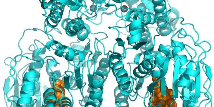 Research team identifies new approach to fight bacterial infections