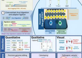 Researchers create new tool to quickly diagnose genetic mutations