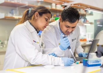 Researchers develop rapid test to detect fentanyl