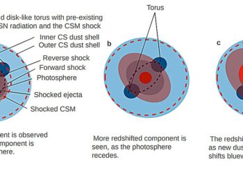Researchers discover cosmic dust storms from Type 1a supernova