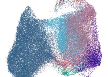 Researchers discover new cell that remembers allergies