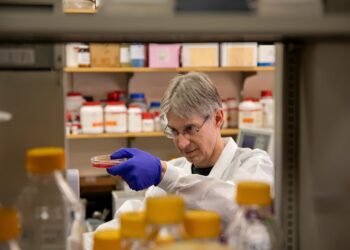 Researchers find that blocking an essential nutrient inhibits the growth of malaria parasites