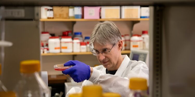 Researchers find that blocking an essential nutrient inhibits the growth of malaria parasites