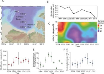 Researchers identify decline in microbial genetic richness in western Arctic Ocean