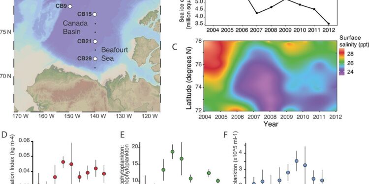 Researchers identify decline in microbial genetic richness in western Arctic Ocean