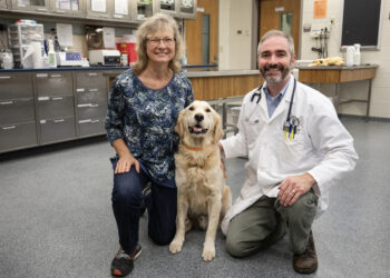 Researchers move closer to providing personalized medicine to cancer patients