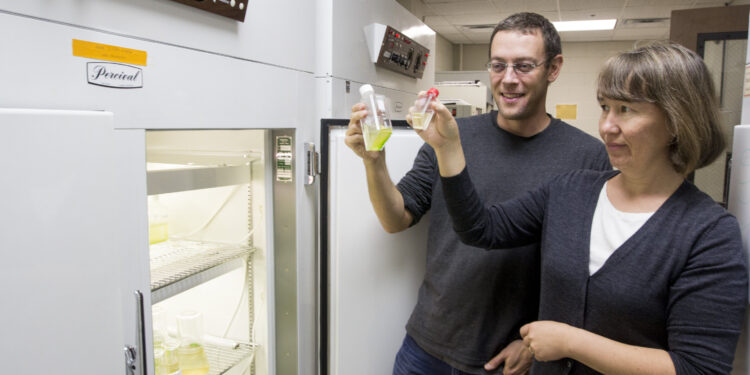 Researchers present a new model that links the rules of life at the individual and ecosystem level