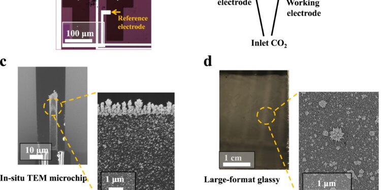 Researchers reveal elusive bottleneck holding back global efforts to convert carbon dioxide waste into usable products