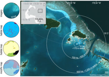 Researchers use satellites to analyze global reef biodiversity