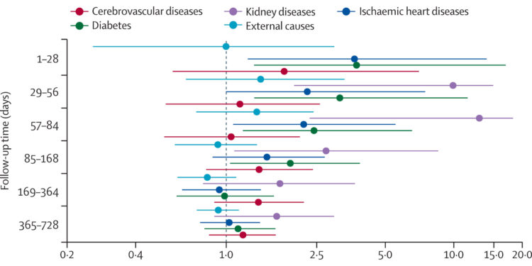 Risk of death from chikungunya persists for up to three months, analysis finds