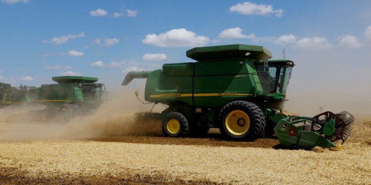 Russia ships 200 thousand tons of free grain to 6 African countries