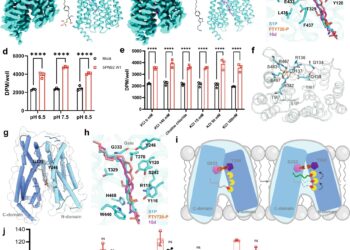 SPNS2 directly exports S1P for signaling and can be inhibited