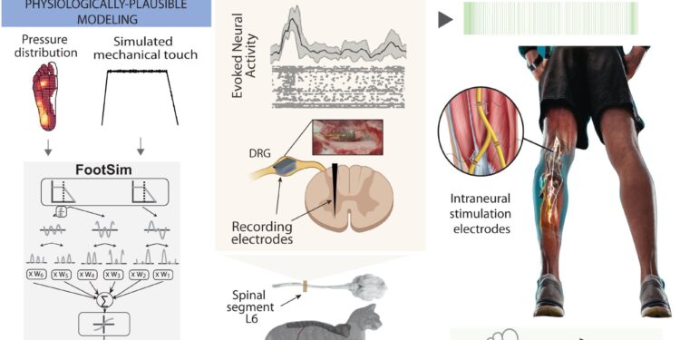 Sending signals that the brain can understand