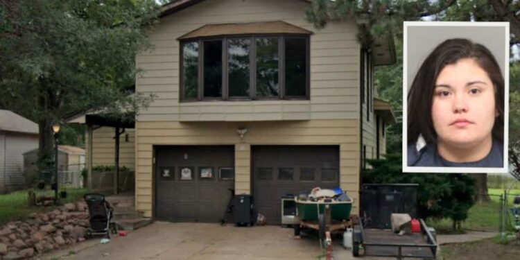 She allegedly stabbed her friend over a comment about her house