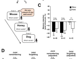 Sleep improves ability to remember complex events, study finds