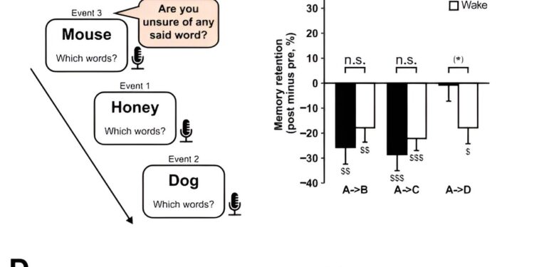 Sleep improves ability to remember complex events, study finds