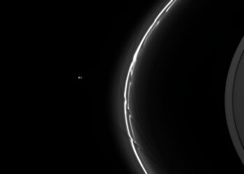 Small satellite could form centaur rings