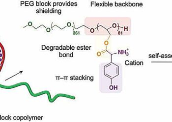 Stabilizing mRNA vaccines for delivery to cells
