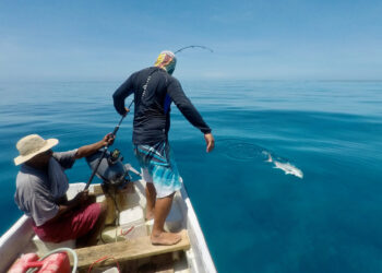 Strengthening the diverse ways people access seafood can ensure healthy communities in the face of change