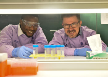 Study finds fatty acids help create memories