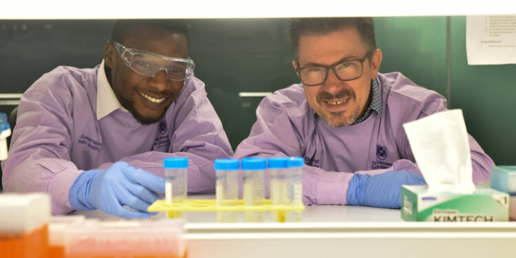 Study finds fatty acids help create memories
