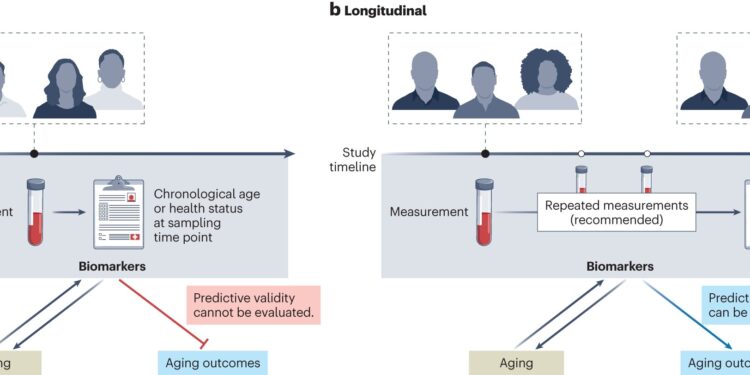 Study offers framework to standardize biomarkers of aging and accelerate clinical use