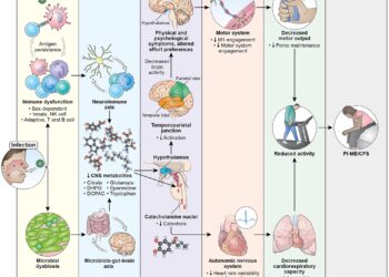 Study offers new clues to causes of post-infectious chronic fatigue syndrome