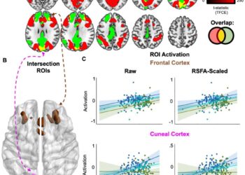 Study reveals strongest evidence yet on brain’s ability to compensate for age-related cognitive decline