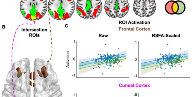 Study reveals strongest evidence yet on brain’s ability to compensate for age-related cognitive decline