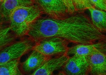 Study shows clinical benefit of new way to treat advanced ER+ breast cancer