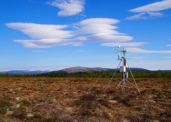 Study shows methane emissions from wetlands increase significantly at high latitudes