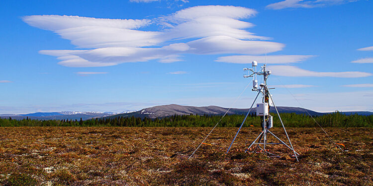 Study shows methane emissions from wetlands increase significantly at high latitudes