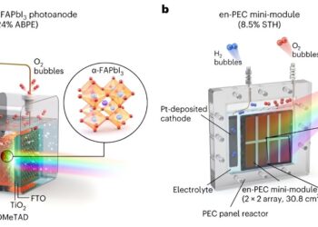 Study unveils scalable and efficient photoelectrode modules for green hydrogen production