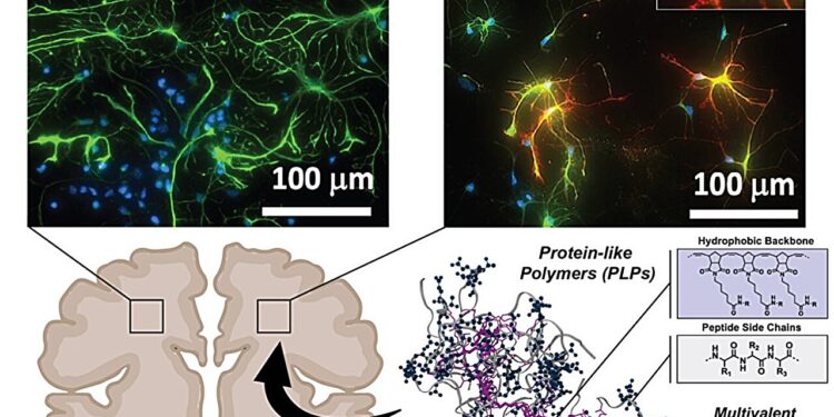 Targeting “undruggable” proteins promises a new approach to treating neurodegenerative diseases