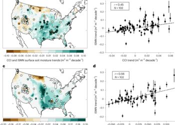 Temperatures are rising, but the soil is becoming wetter: why?