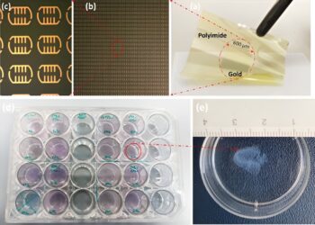 Terahertz biosensor detects skin cancer with remarkable precision, paving the way for a new era of early detection