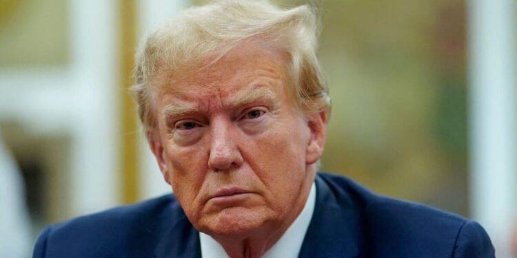 The courts, the last bastion of American democracy?